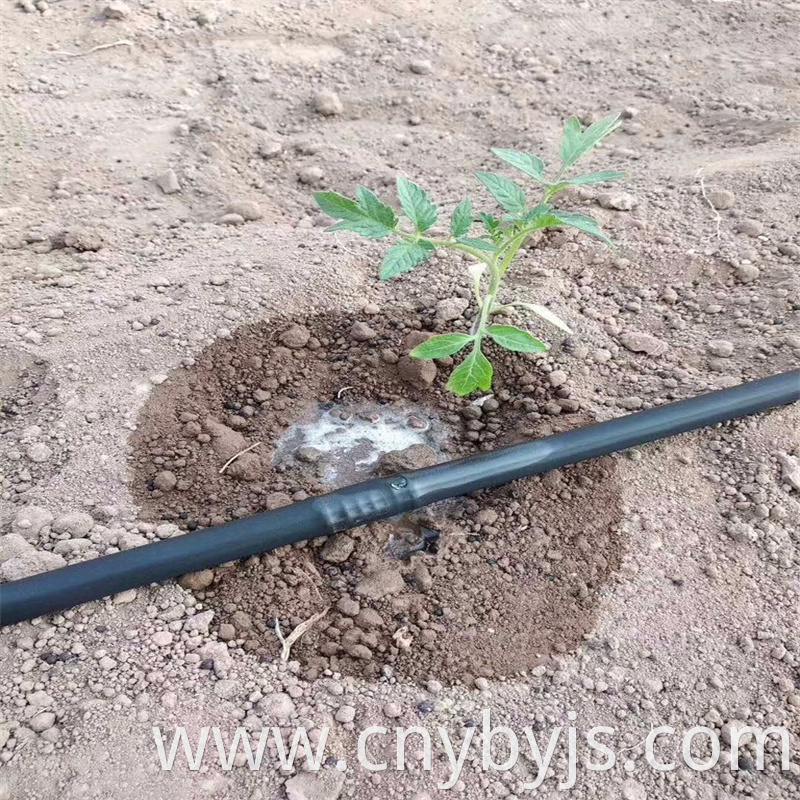 Drip Irrigation Pipe 6